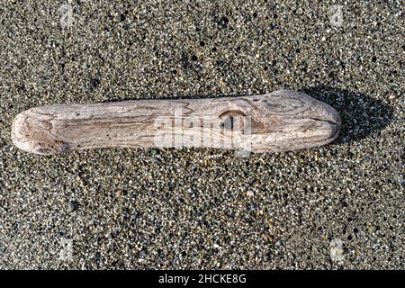 Gros plan d'un morceau de bois de grève sur Gold Bluffs Beach au parc régional Prairie Creek Redwoods en Californie, États-Unis Banque D'Images