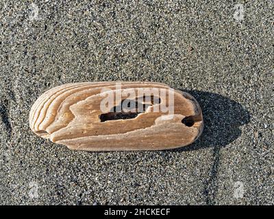 Gros plan d'un morceau de bois de grève avec des couches et des trous sur Gold Bluffs Beach au parc régional Prairie Creek Redwoods en Californie, États-Unis Banque D'Images