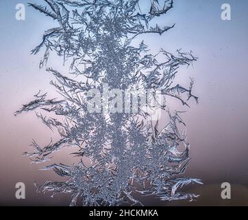 Gros plan de cristaux de flocons de neige sur fond bleu Banque D'Images