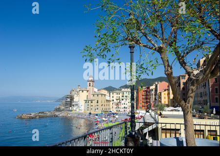 Europe, Italie, ville de Camogli sur la mer Méditerranée en Ligurie.Basilique de Santa Maria Assunta et bâtiments colorés. Banque D'Images