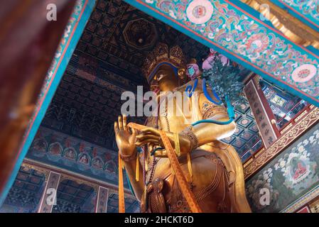 Beijing, 24/02/2019. Majestueuse statue en bois de Maitreya, 26 mètres de haut, dont 8 sont souterraines, sculptée dans un seul bloc de bois de santal blanc Banque D'Images