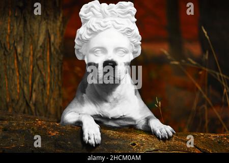 PIT Bull Terrier chien avec une tête de statue en plâtre dans la nature.Photo de haute qualité Banque D'Images