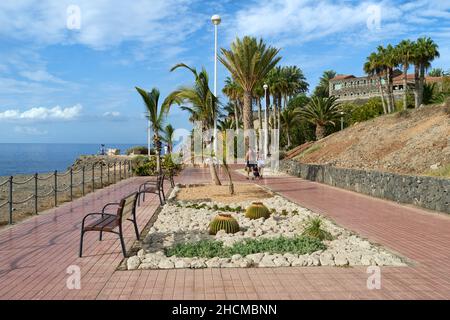 Palmiers sur la promenade à côté de la plage Costa Adeje, Tenerife Banque D'Images