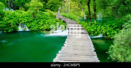 Scène de longue exposition dans une belle forêt verte, avec de petites cascades et un feuillage d'été vert luxuriant dans le parc national des lacs de Plitvice, Croatie. Banque D'Images