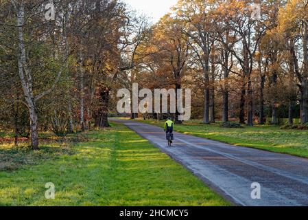 Cycliste solitaire sur une route de campagne dans le Grand parc de Windsor, lors d'une journée d'hiver, Berkshire Angleterre Royaume-Uni Banque D'Images