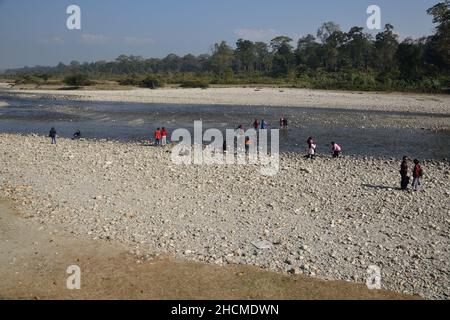 Rivière Murti au nord de Dhupjhora dans le parc national de Gorumara.Jalpaiguri, Bengale-Occidental, Inde. Banque D'Images