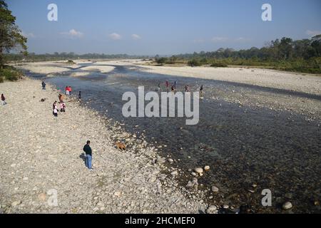 Rivière Murti au nord de Dhupjhora dans le parc national de Gorumara.Jalpaiguri, Bengale-Occidental, Inde. Banque D'Images