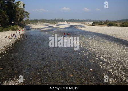 Rivière Murti au nord de Dhupjhora dans le parc national de Gorumara.Jalpaiguri, Bengale-Occidental, Inde. Banque D'Images