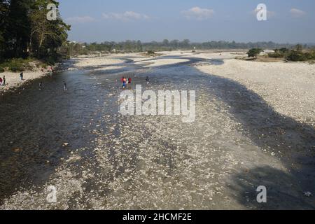 Rivière Murti au nord de Dhupjhora dans le parc national de Gorumara.Jalpaiguri, Bengale-Occidental, Inde. Banque D'Images