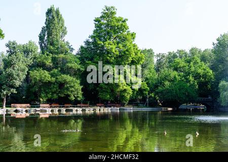 Lac, arbres verts et herbe lors d'une journée ensoleillée d'été dans le jardin de Cismigiu à Bucarest, Roumanie Banque D'Images