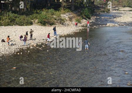 Rivière Murti au nord de Dhupjhora dans le parc national de Gorumara.Jalpaiguri, Bengale-Occidental, Inde. Banque D'Images