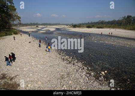 Rivière Murti au nord de Dhupjhora dans le parc national de Gorumara.Jalpaiguri, Bengale-Occidental, Inde. Banque D'Images