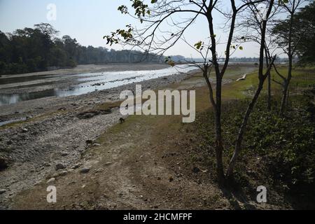 Rivière Murti au nord de Dhupjhora dans le parc national de Gorumara.Jalpaiguri, Bengale-Occidental, Inde. Banque D'Images