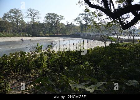 Rivière Murti au nord de Dhupjhora dans le parc national de Gorumara.Jalpaiguri, Bengale-Occidental, Inde. Banque D'Images