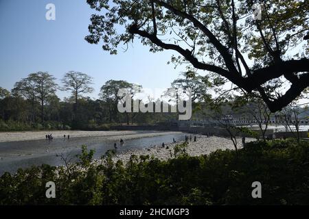 Rivière Murti au nord de Dhupjhora dans le parc national de Gorumara.Jalpaiguri, Bengale-Occidental, Inde. Banque D'Images