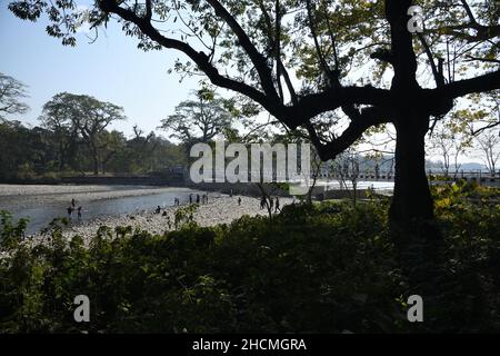 Rivière Murti au nord de Dhupjhora dans le parc national de Gorumara.Jalpaiguri, Bengale-Occidental, Inde. Banque D'Images