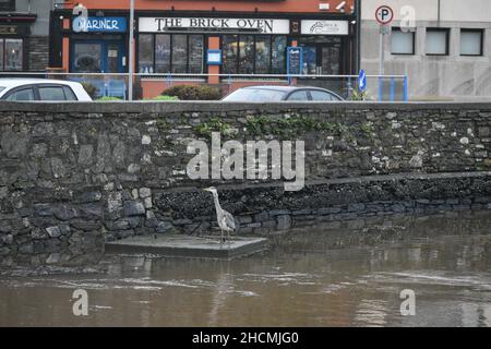 Bantry, West Cork, Irlande.130H décembre 2021.Met Eireann a publié un avertissement météorologique jaune pour Cork, en prévision de fortes pluies qui conduiront à des inondations localisées.Credit: Karlis Dzjamko News/Alay Live News Banque D'Images