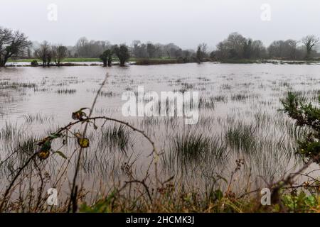 Caheragh, West Cork, Irlande.30th décembre 2021.De fortes pluies torrentielles qui tombent aujourd'hui ont conduit à des inondations de routes et de champs à Caheragh, dans l'ouest de Cork.Les comtés de Cork et Kerry sont actuellement sous un avertissement météo jaune met Eireann pour la pluie jusqu'à 5am demain.Crédit : AG News/Alay Live News Banque D'Images