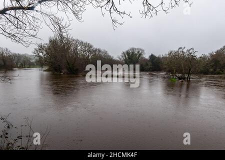 Caheragh, West Cork, Irlande.30th décembre 2021.De fortes pluies torrentielles qui tombent aujourd'hui ont conduit à des inondations de routes et de champs à Caheragh, dans l'ouest de Cork.Les comtés de Cork et Kerry sont actuellement sous un avertissement météo jaune met Eireann pour la pluie jusqu'à 5am demain.Crédit : AG News/Alay Live News Banque D'Images