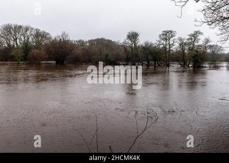 Caheragh, West Cork, Irlande.30th décembre 2021.De fortes pluies torrentielles qui tombent aujourd'hui ont conduit à des inondations de routes et de champs à Caheragh, dans l'ouest de Cork.Les comtés de Cork et Kerry sont actuellement sous un avertissement météo jaune met Eireann pour la pluie jusqu'à 5am demain.Crédit : AG News/Alay Live News Banque D'Images