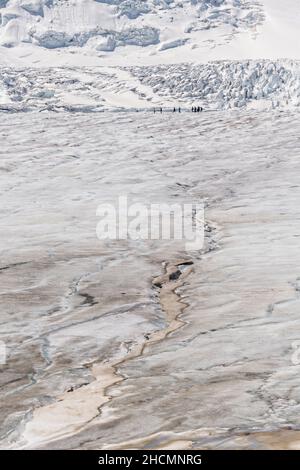 Les touristes semblent minuscules sur l'immense champ de glace Columbia et le glacier Athabasca, à la limite sud du parc national Jasper, en Alberta, au Canada.Le champ de glace Columbia est le plus grand champ de glace des montagnes Rocheuses. Banque D'Images