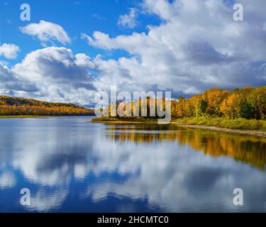 Belle couleur d'automne à Forest Lake dans LE HAUT du Michigan Banque D'Images