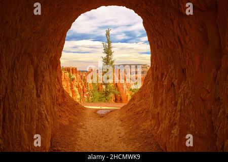 Magnifique parc national de Bryce Canyon dans l'Utah Banque D'Images