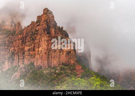 Matin brumeux dans le parc national de Zion Banque D'Images