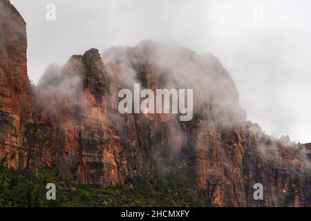 Matin brumeux dans le parc national de Zion Banque D'Images