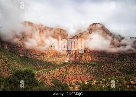 Matin brumeux dans le parc national de Zion Banque D'Images