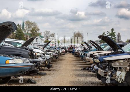 Les capots ouverts présentent les pièces d'occasion disponibles dans l'allée General Motors du chantier de récupération automatique LKQ Pick Your part à fort Wayne, Indiana, États-Unis. Banque D'Images