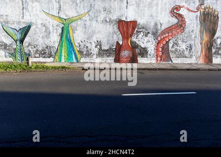 Queues de poisson murales par la route, Horta, Faial, Açores, Portugal Banque D'Images