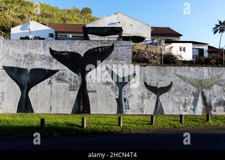 Queues de poisson murales par la route, Horta, Faial, Açores, Portugal Banque D'Images