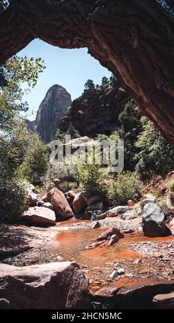 Belles montagnes vu depuis le sentier de randonnée de Taylor Creek dans le Zion National Park, Utah, USA Banque D'Images