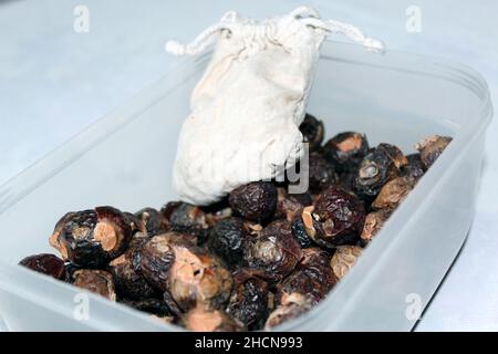 Sapindus mukorossi ou Soapberry indienne.Beaucoup de noix de savon et sac de coton prêt à être utilisé écologique dans la machine à laver Banque D'Images