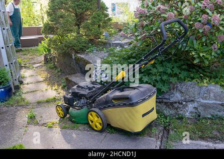 Vue en grand angle du robot de tonte sur le chemin en pierre entre les fleurs printanières dans une petite cour.Jardinier sur fond flou. Banque D'Images