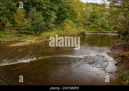 La rivière Ashtabula vue depuis le pont couvert d'Olin-Dewey pendant le changement de couleur des feuilles d'automne dans le comté d'Ashtabula, Ohio. Banque D'Images