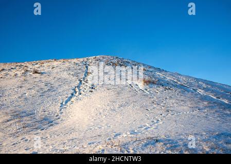 Royal Mounds dans Old Uppsala recouvert de neige Banque D'Images