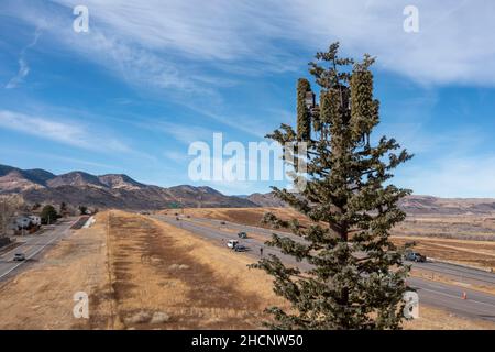 Morrison, Colorado - Une tour de communication, déguisée en arbre, dans la banlieue de Denver. Banque D'Images