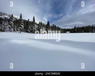 Echo Summit, Californie, États-Unis.30th décembre 2021.Une zone de neige avant le premier relevé de neige de la saison à la station Phillips près d'Echo Summit, en Californie, jeudi.L'enquête a révélé que le manteau neigeux avait une profondeur de 78,5 pouces avec une teneur en eau de 20 pouces.Dans tout l'État, la neige contient 160% de l'eau qu'elle fait normalement cette période de l'année.(Image de crédit : © California Department of Water Resources via ZUMA Press Wire Service) Banque D'Images