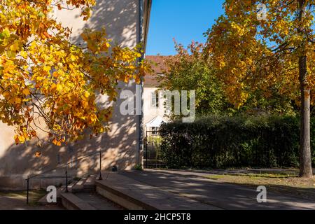 Une fenêtre encadrée d'arbres avec feuillage d'automne à Strasbourg, France, prise dans un après-midi d'automne ensoleillé sans personne Banque D'Images