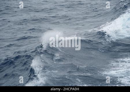 Vague de mer sur l'océan Pacifique.Il y a de l'eau éclaboussé sur la crête de la vague.Sur la crête de la vague il y a des gouttes d'eau. Banque D'Images