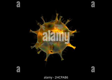 La variante OMICRON du coronavirus générée par numérisation sur fond noir.la variante B.1.1.529 a été signalée pour la première fois à L'OMS en Afrique du Sud le 24 novembre Banque D'Images