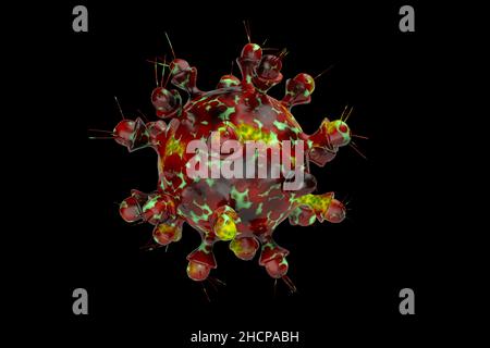 La variante OMICRON du coronavirus générée par numérisation sur fond noir.la variante B.1.1.529 a été signalée pour la première fois à L'OMS en Afrique du Sud le 24 novembre Banque D'Images