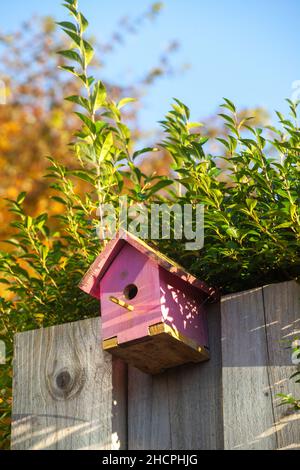 Une boîte à oiseaux en bois peinte en rose contre une clôture en bois Banque D'Images