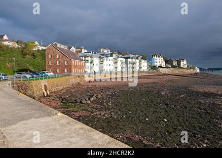 Vue à marée basse d'algues et appartements immeubles sur le front de mer au port de Milford Haven en automne Pembrokeshire Wales UK KATHY DEWITT Banque D'Images