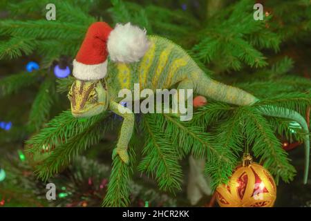 Le caméléon voilé (Chamaeleo calyptratus) dans une casquette rouge est assis sur un arbre de Noël.Le caméléon de la casquette du Père Noël se trouve sur l'arbre de noël. Banque D'Images