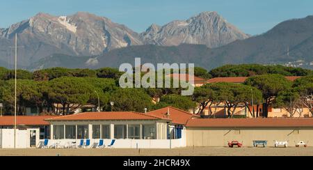 Forte dei Marmi Versilia Toscane : détail de la plage et de la forêt de pins avec les Alpes Apuanes en hiver Banque D'Images