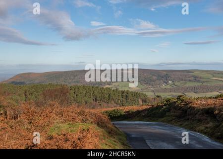Vue depuis la colline de Dunkery en direction de Selworthy dans Somerset