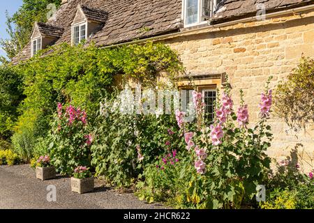 Des hollyhocks fleurissent à l'extérieur d'un cottage traditionnel en pierre dans le village de Taynton, Oxfordhire, Royaume-Uni Banque D'Images